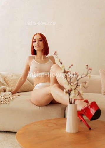 Лиса, Г. Щёкино